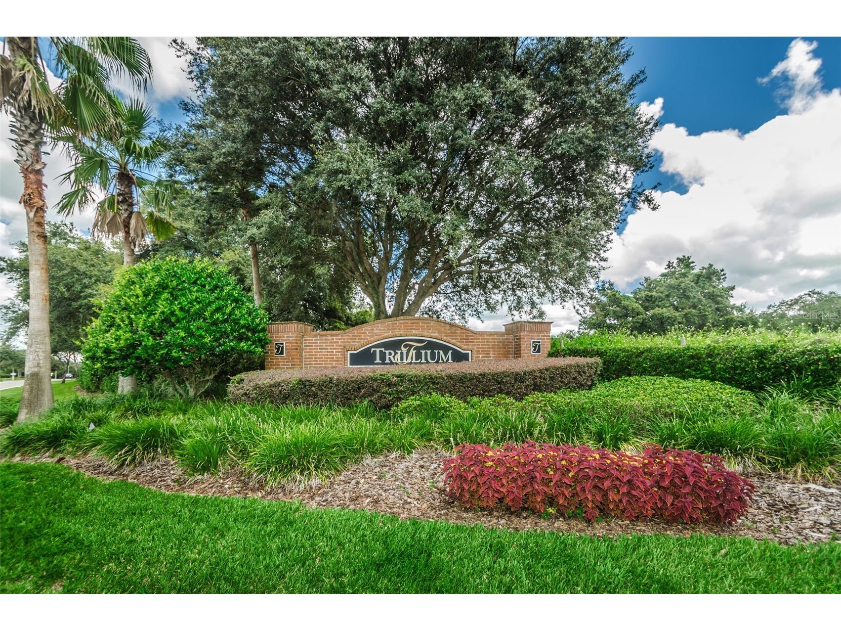 2118 Trillium Boulevard Brooksville FL 34604 TB8510021 image41