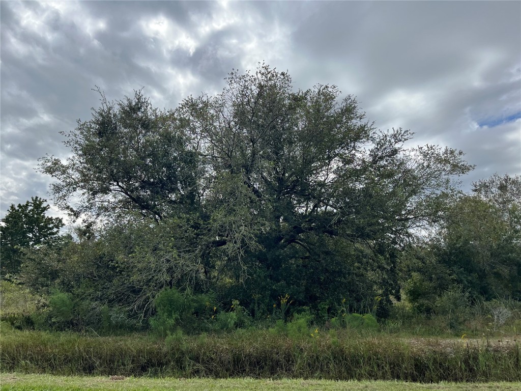 21180 NW 268th Street Okeechobee FL 34972 OK223314 image1