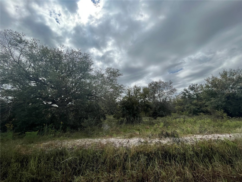 21180 NW 268th Street Okeechobee FL 34972 OK223731 image1