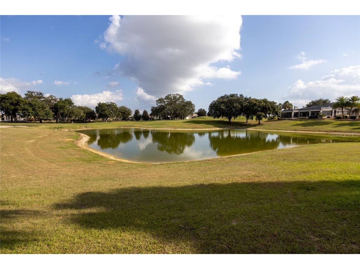 2119 Chalmer Terrace The Villages FL 32162 W7881087 image60