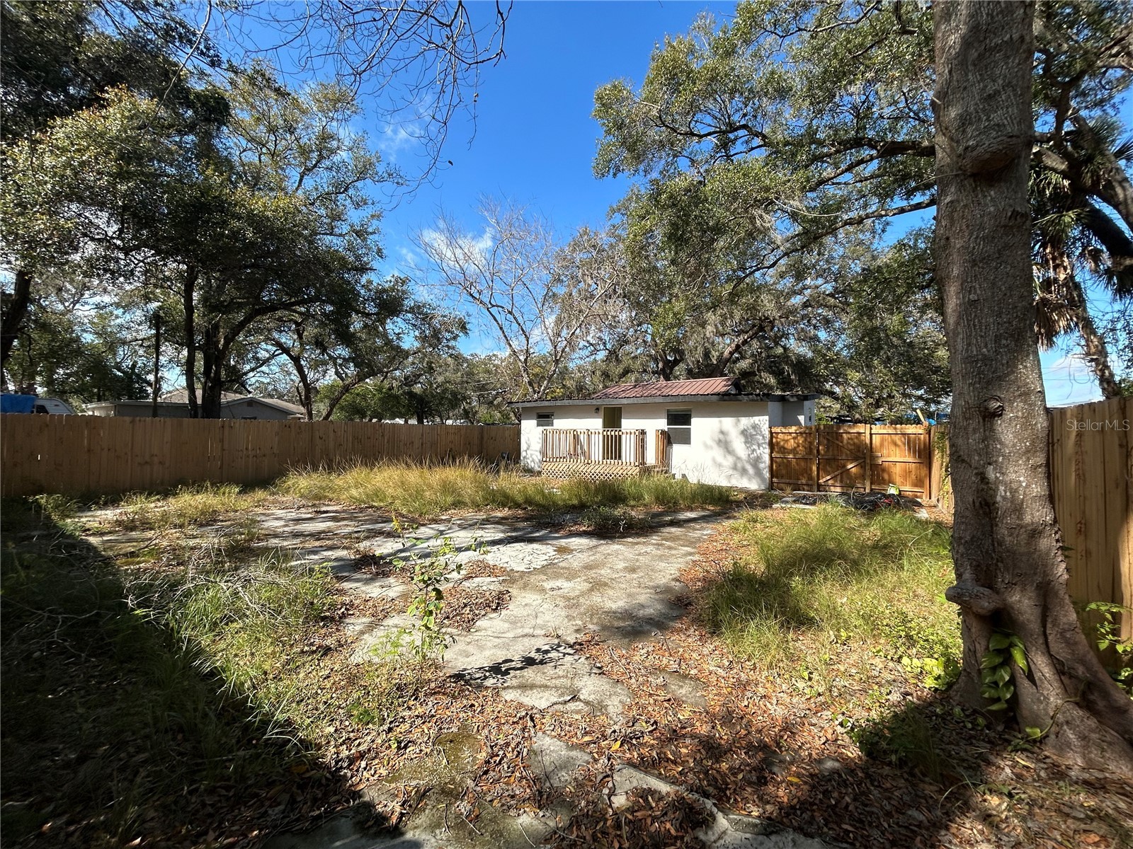 2119 E Ellicott Tampa FL 33610 TB8473065 image19