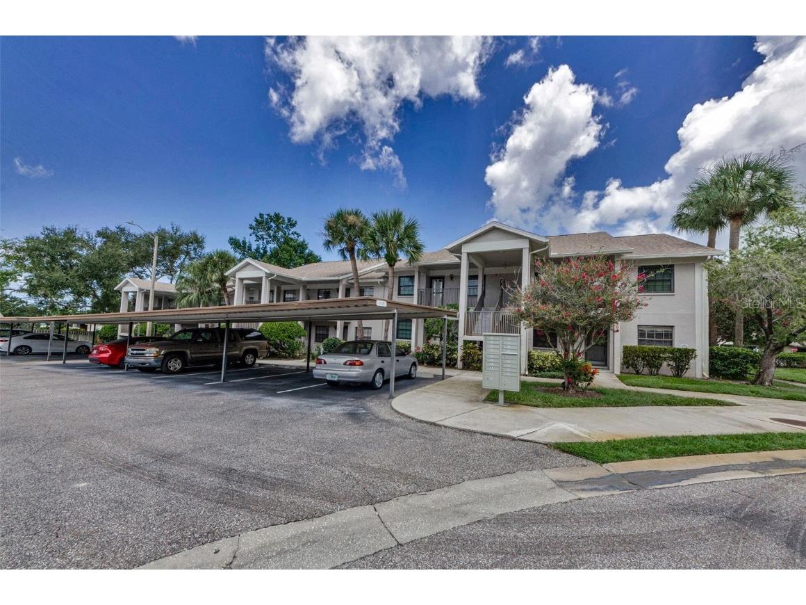 2119 Elm Street #103 Dunedin FL 34698 TB8414827 image1