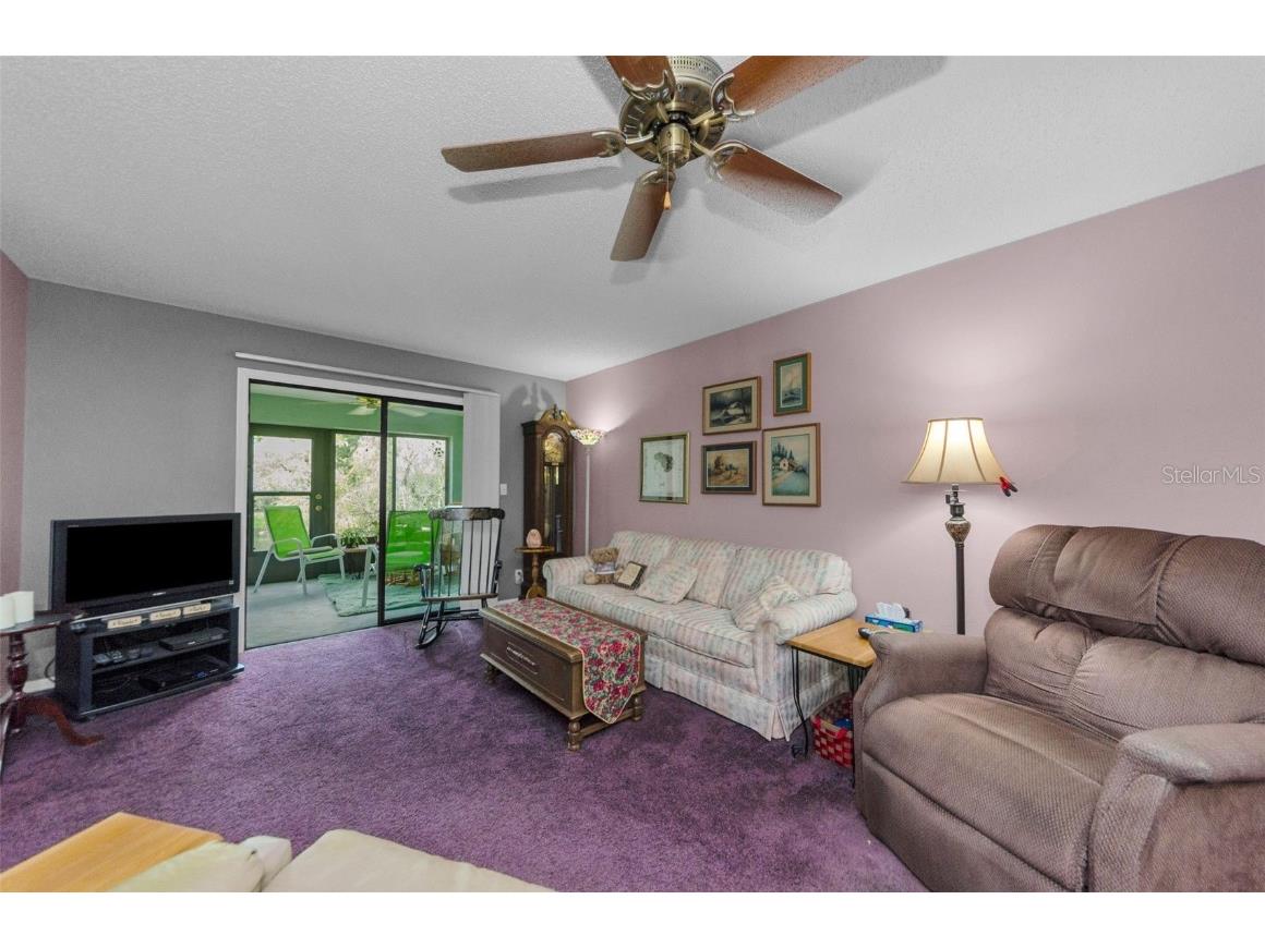 2119 Elm Street #103 Dunedin FL 34698 TB8414827 image12