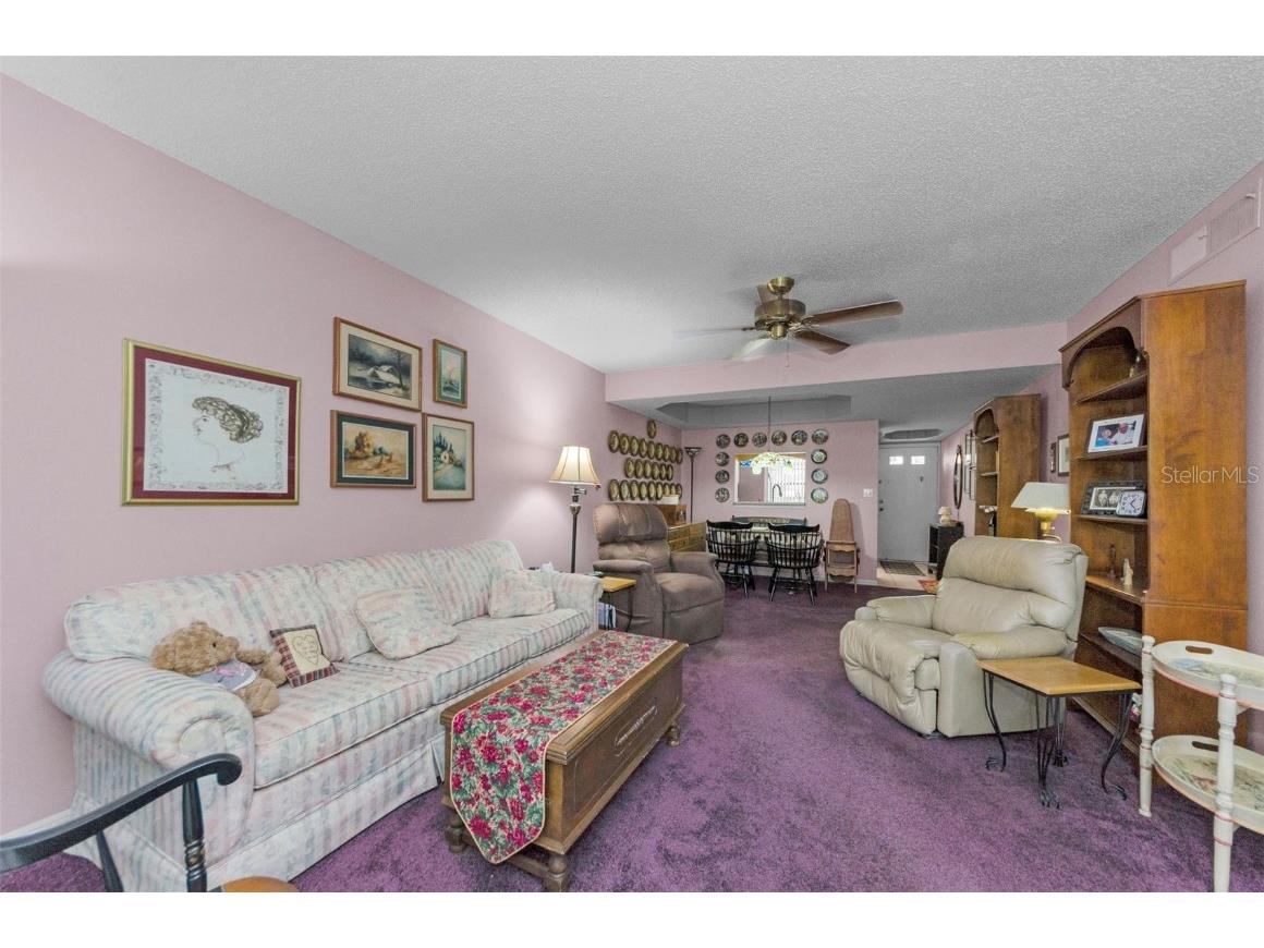 2119 Elm Street #103 Dunedin FL 34698 TB8414827 image13
