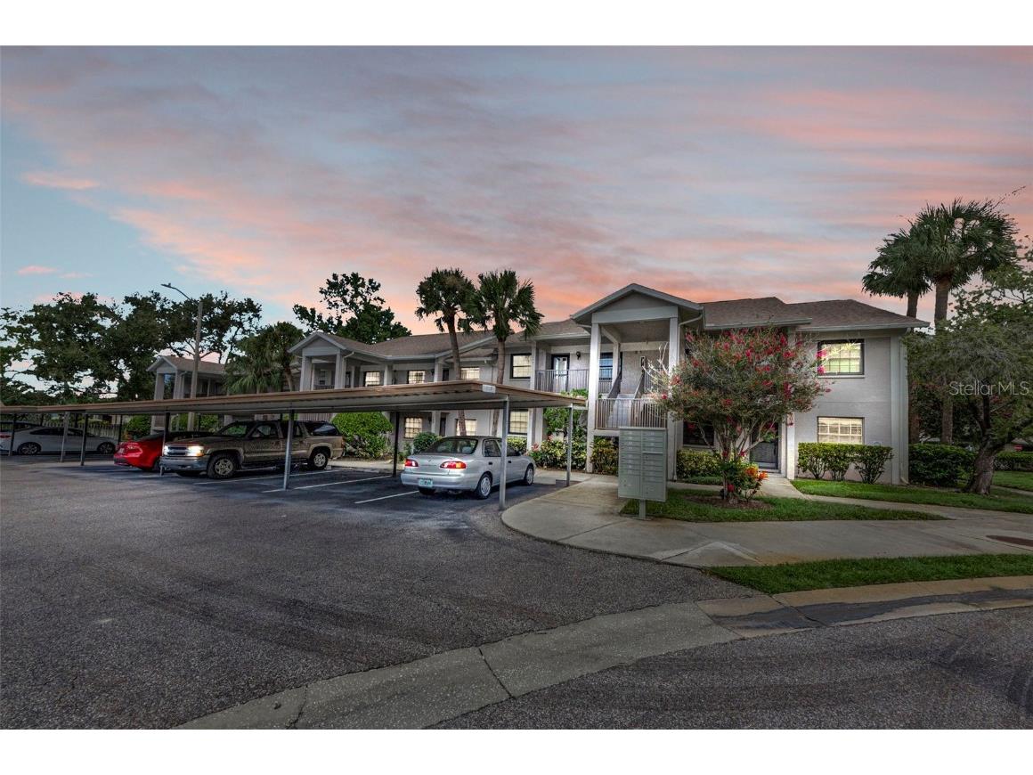 2119 Elm Street #103 Dunedin FL 34698 TB8414827 image2
