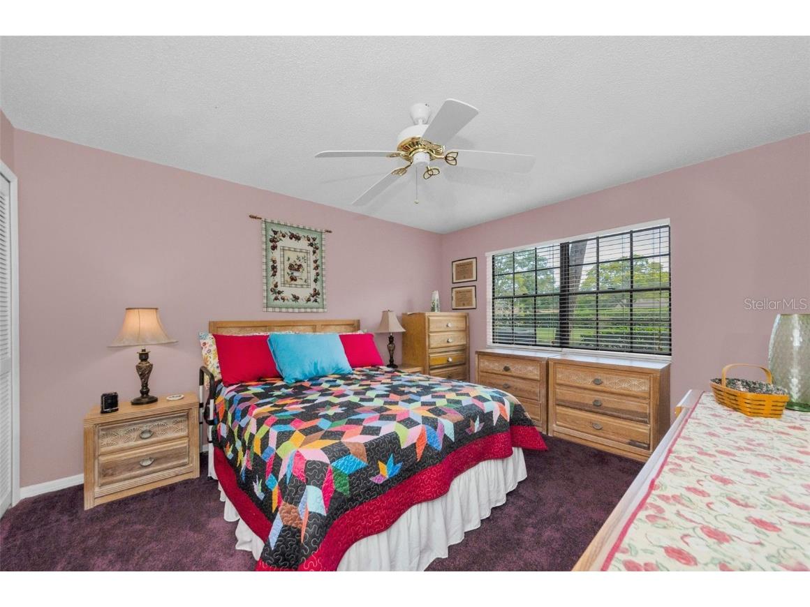 2119 Elm Street #103 Dunedin FL 34698 TB8414827 image25