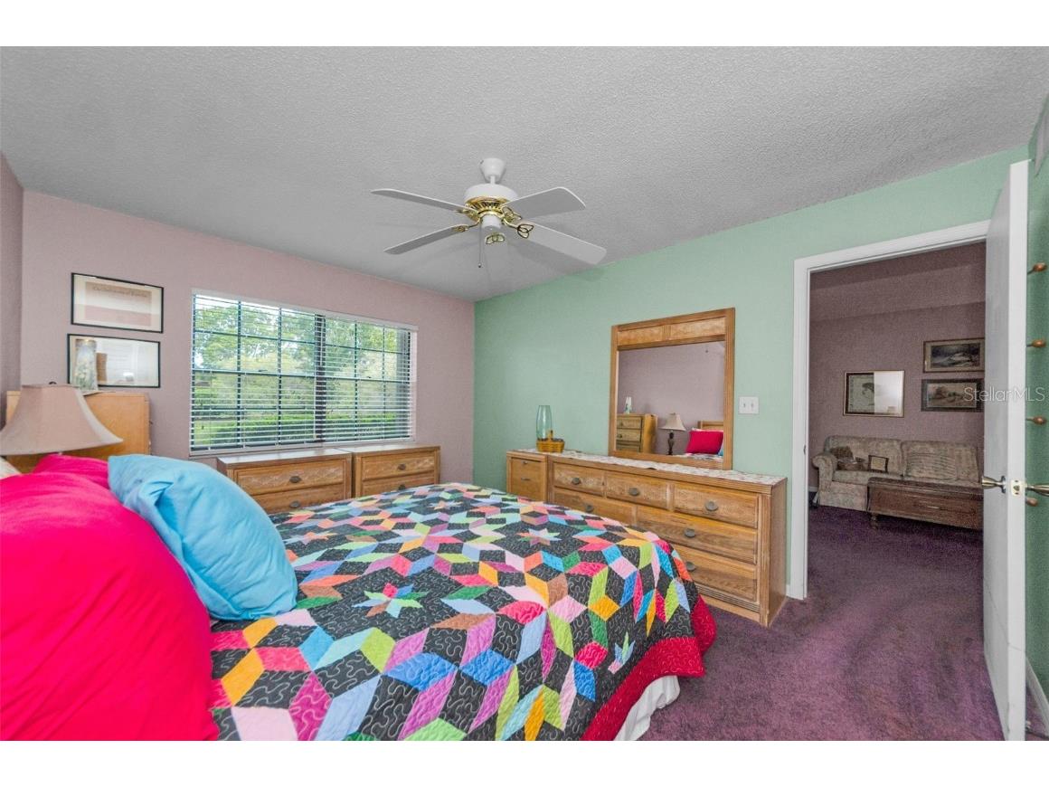 2119 Elm Street #103 Dunedin FL 34698 TB8414827 image26