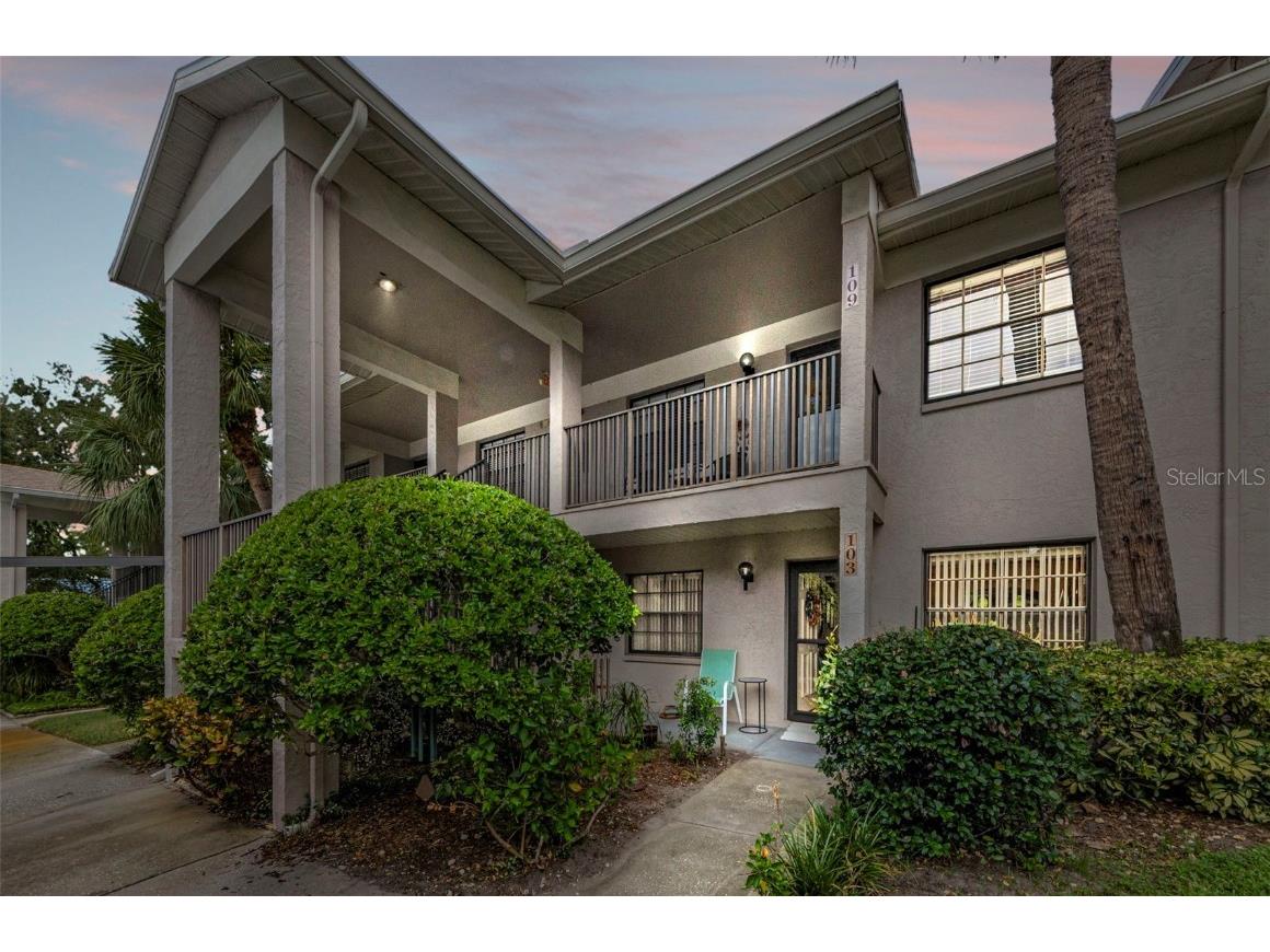 2119 Elm Street #103 Dunedin FL 34698 TB8414827 image3