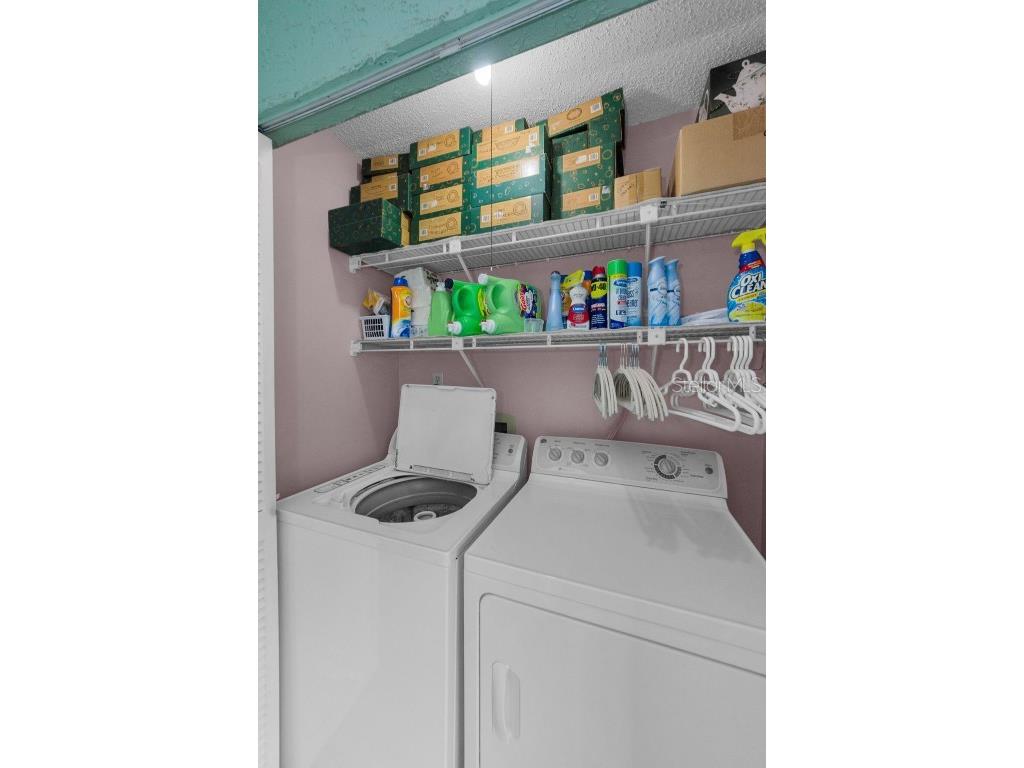 2119 Elm Street #103 Dunedin FL 34698 TB8414827 image32