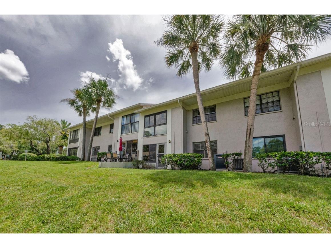2119 Elm Street #103 Dunedin FL 34698 TB8414827 image37