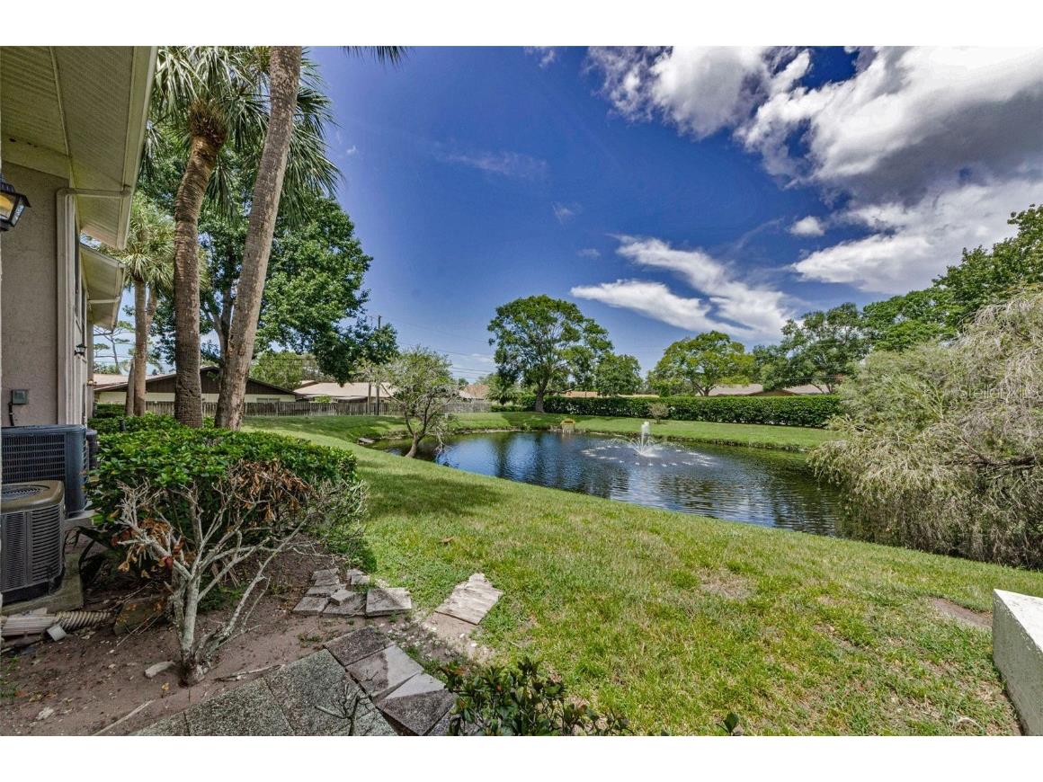 2119 Elm Street #103 Dunedin FL 34698 TB8414827 image38