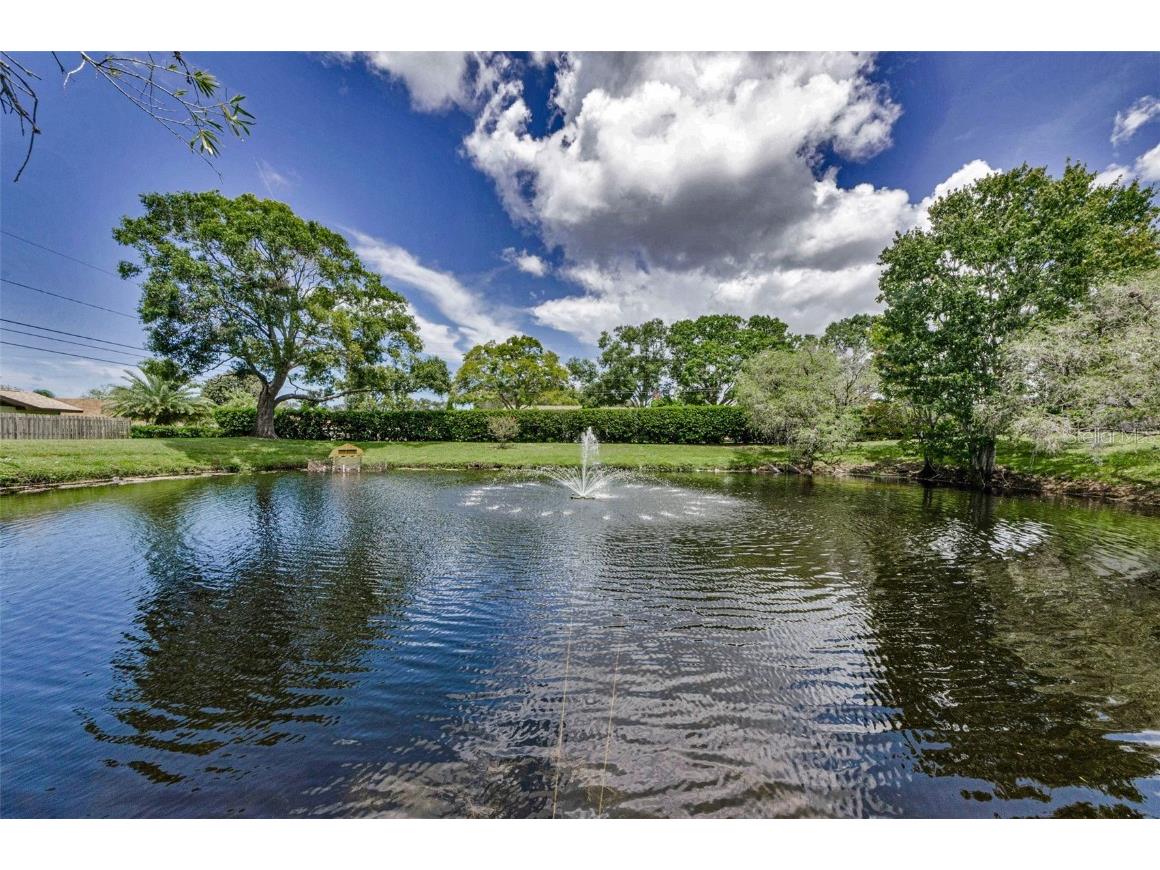 2119 Elm Street #103 Dunedin FL 34698 TB8414827 image39