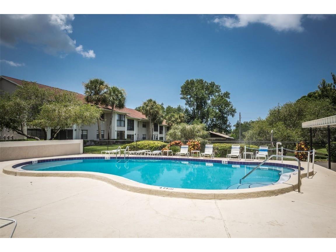 2119 Elm Street #103 Dunedin FL 34698 TB8414827 image47