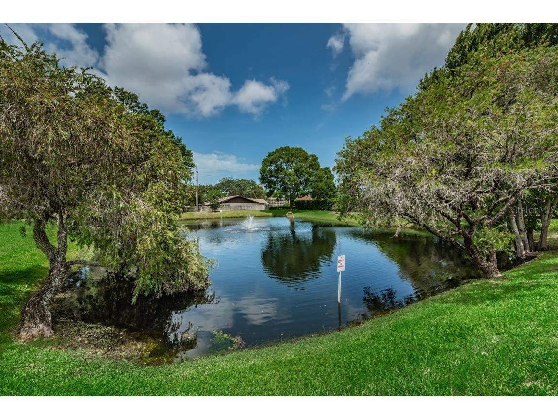 2119 Elm Street #103 Dunedin FL 34698 TB8414827 image49