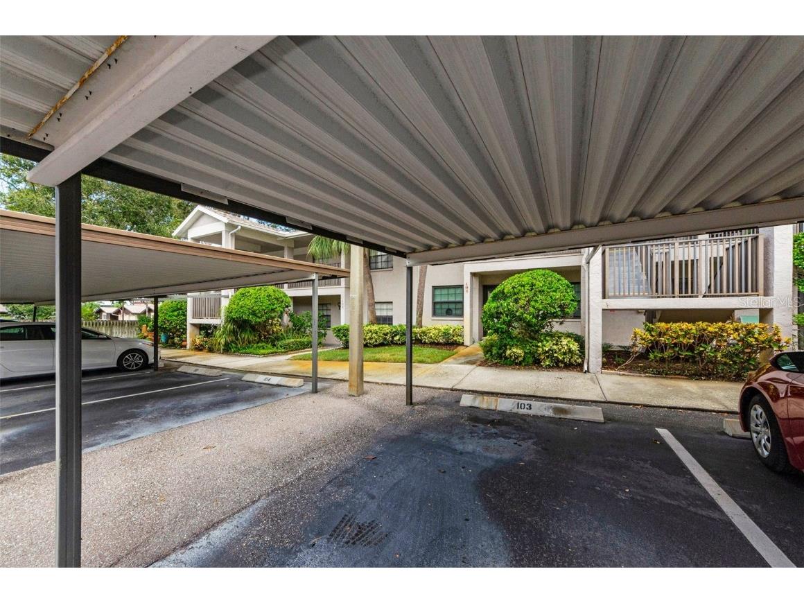 2119 Elm Street #103 Dunedin FL 34698 TB8414827 image5