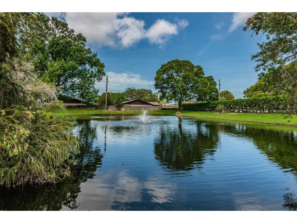 2119 Elm Street #103 Dunedin FL 34698 TB8414827 image50