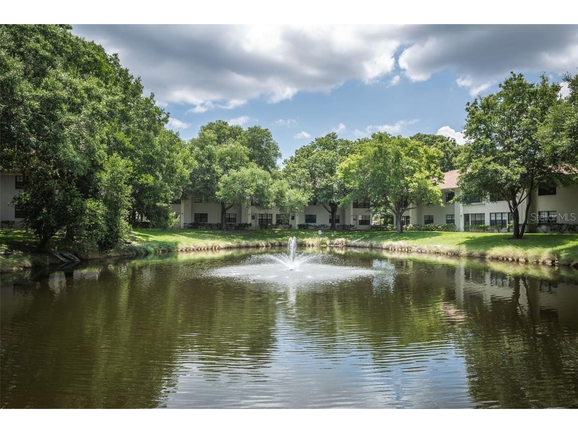 2119 Elm Street #103 Dunedin FL 34698 TB8414827 image51