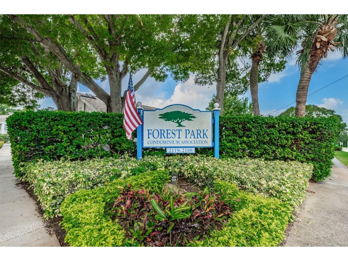2119 Elm Street #103 Dunedin FL 34698 TB8414827 image52