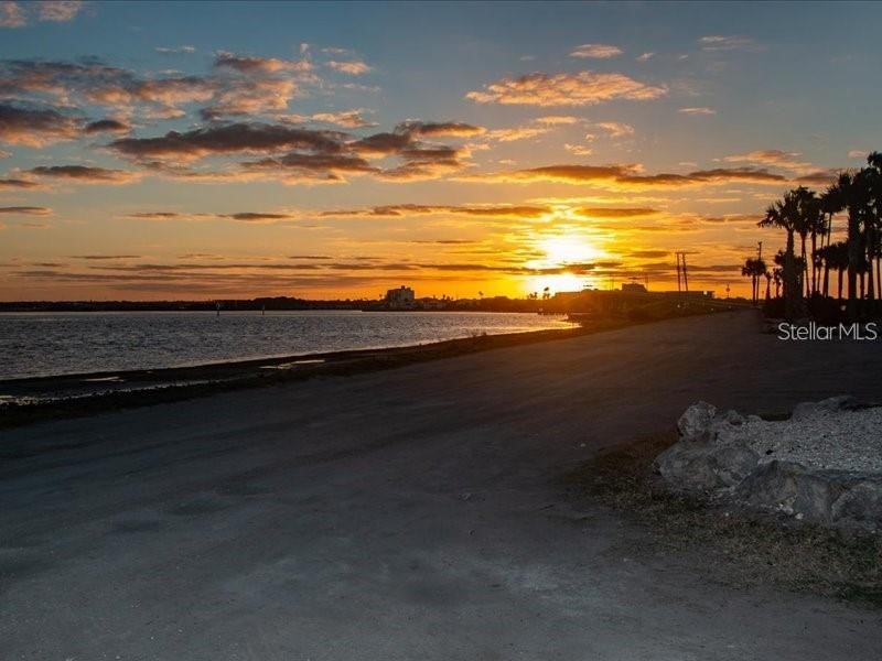 2119 Elm Street #103 Dunedin FL 34698 TB8414827 image53