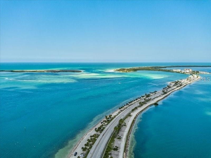 2119 Elm Street #103 Dunedin FL 34698 TB8414827 image54