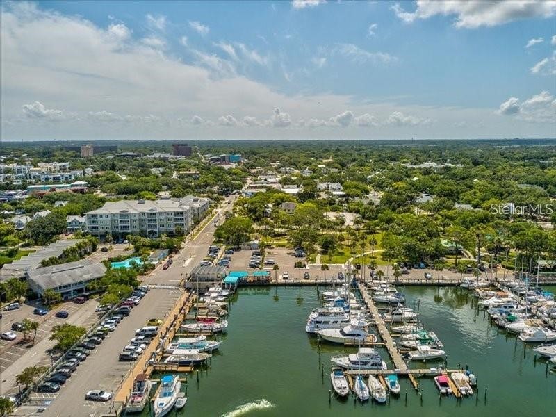 2119 Elm Street #103 Dunedin FL 34698 TB8414827 image64