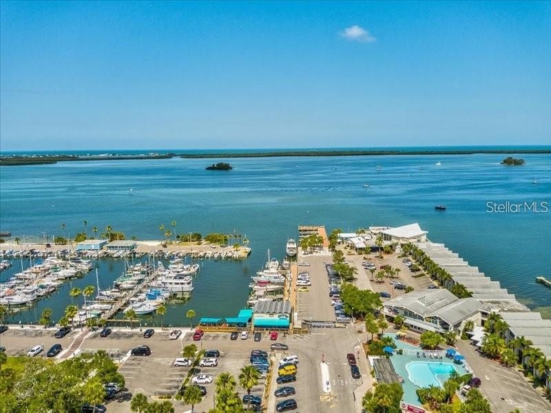 2119 Elm Street #103 Dunedin FL 34698 TB8414827 image65