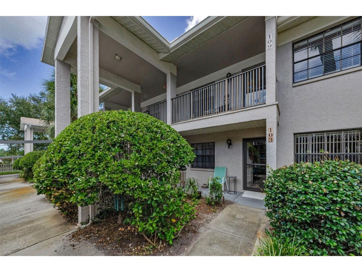 2119 Elm Street #103 Dunedin FL 34698 TB8414827 image8