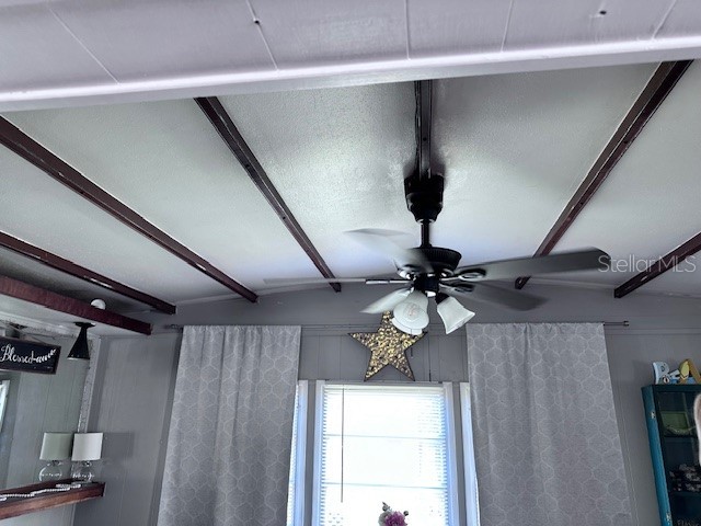 2119 Lullaby Drive Holiday FL 34691 TB8395833 image25