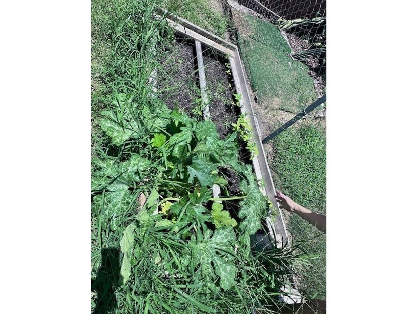 2119 Lullaby Drive Holiday FL 34691 TB8395833 image34