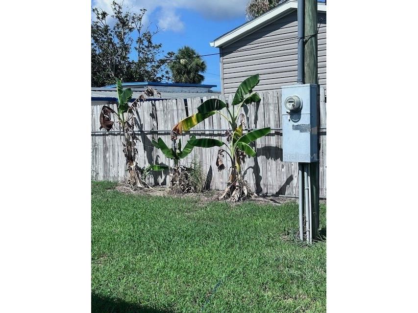 2119 Lullaby Drive Holiday FL 34691 TB8395833 image36