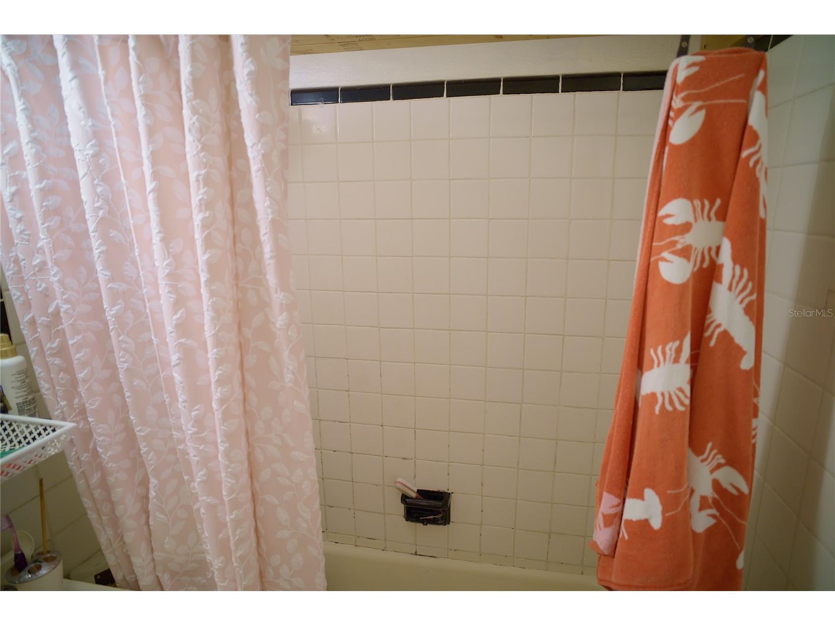 2119 S Fern Creek Avenue Orlando FL 32806 O6404839 image64
