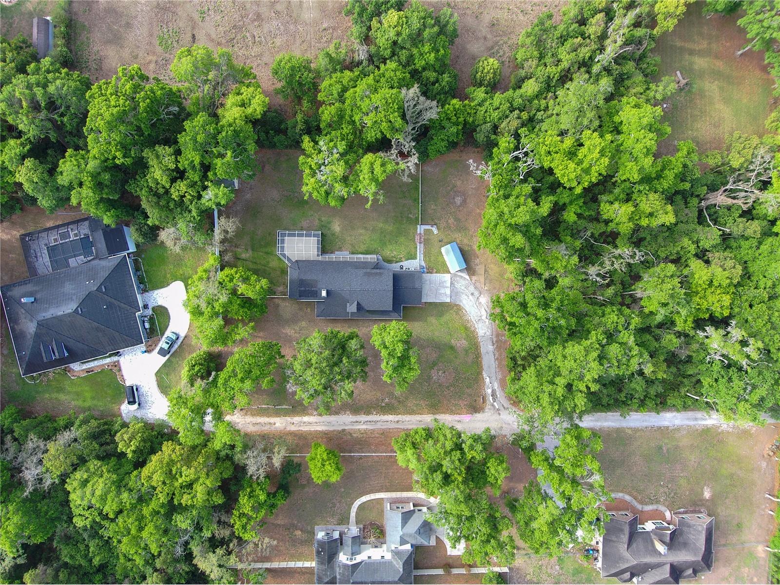 2119 Shady Oaks Drive Valrico FL 33594 TB8492389 image2