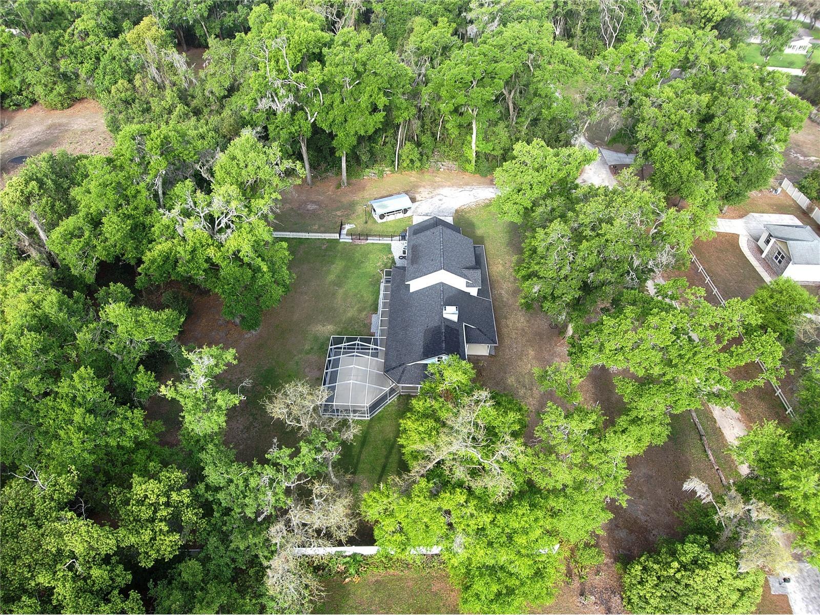 2119 Shady Oaks Drive Valrico FL 33594 TB8492389 image4