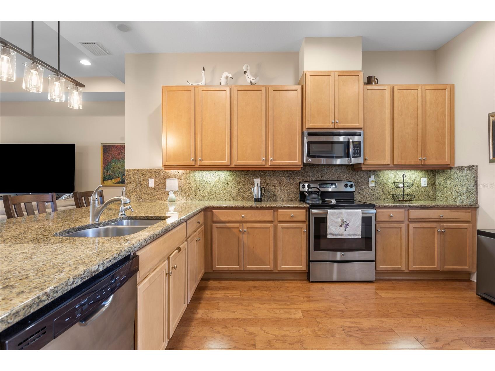 2119 Sifield Greens Way Sun City Center FL 33573 TB8504720 image11