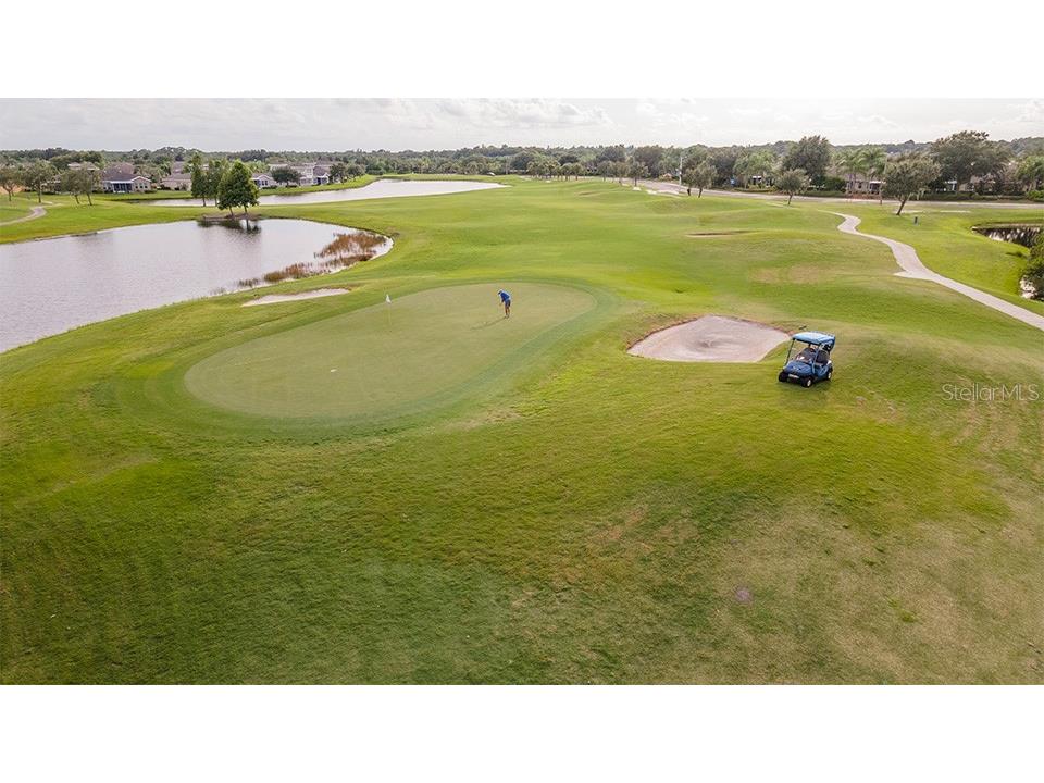 2119 Sifield Greens Way Sun City Center FL 33573 TB8504720 image41