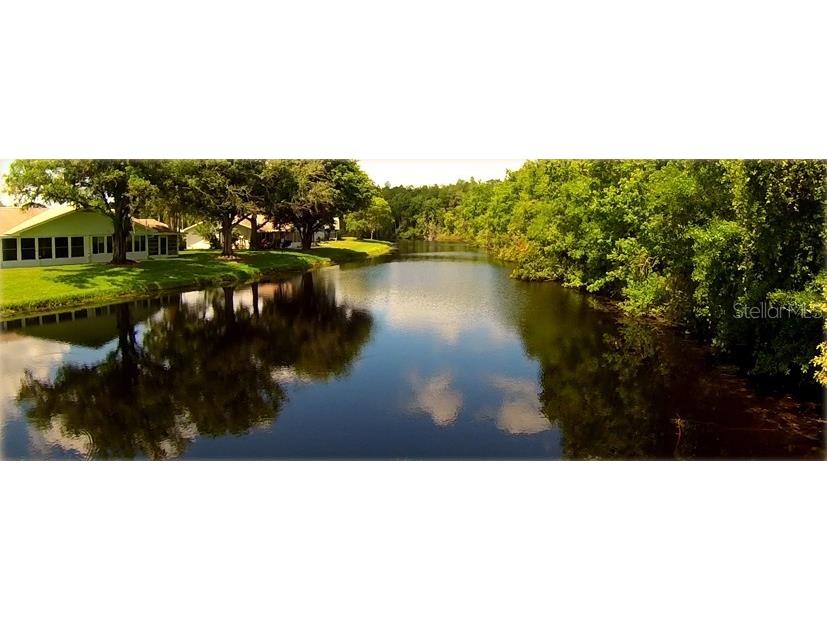 2119 Sifield Greens Way Sun City Center FL 33573 TB8504720 image45