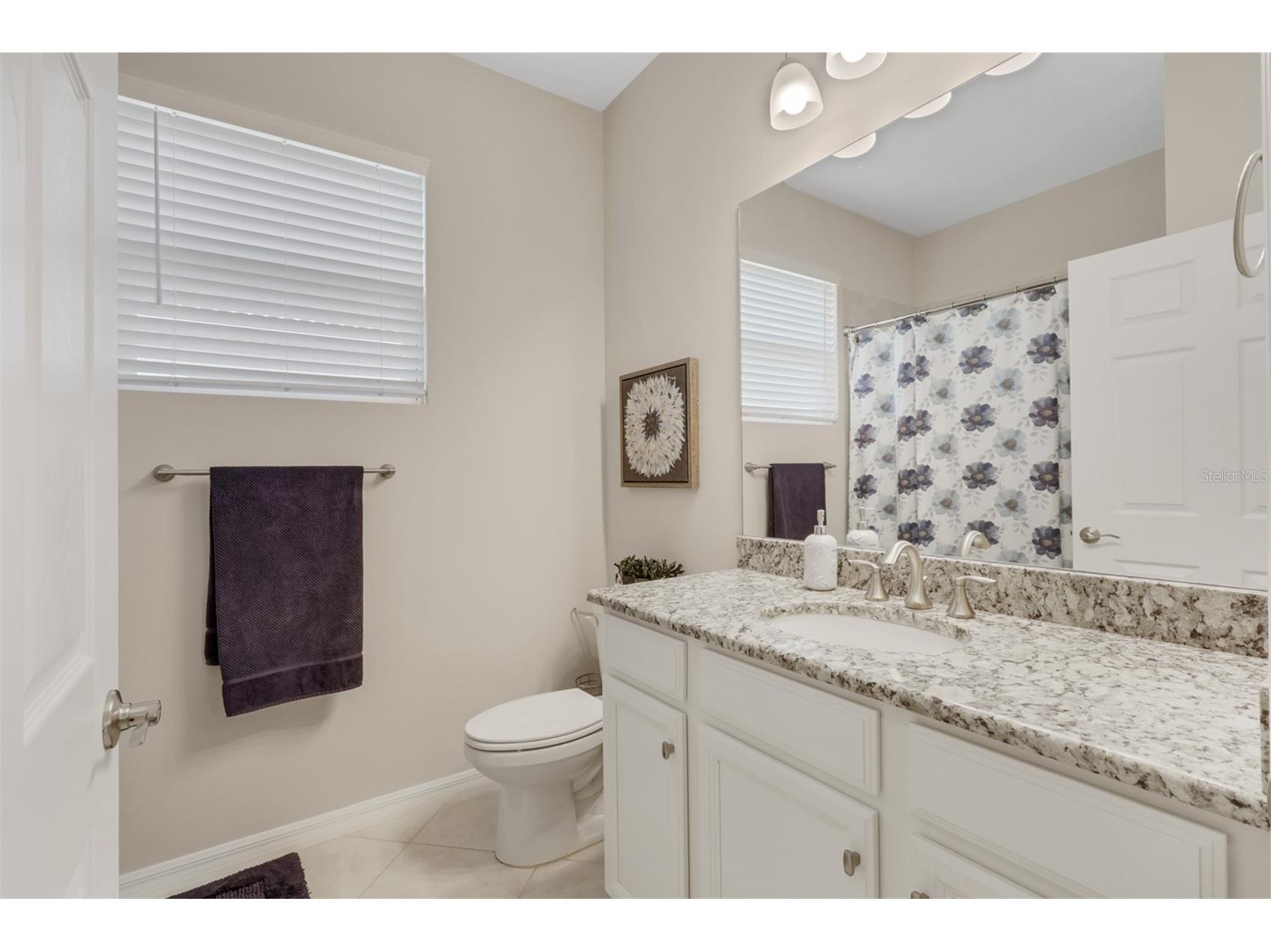 2119 Summersweet Drive Alva FL 33920 O6401320 image18