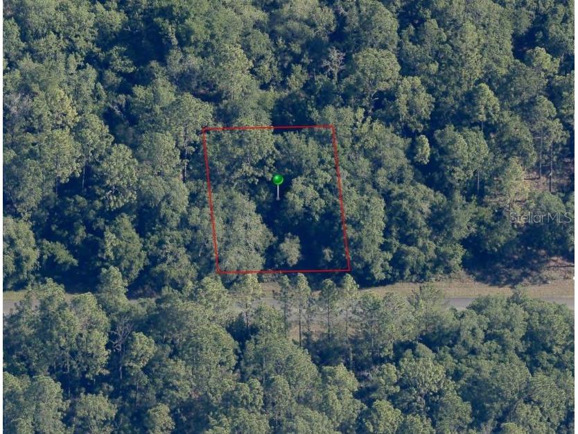 2119 W Pinegrove Drive Dunnellon FL 34434 G5084320 image1