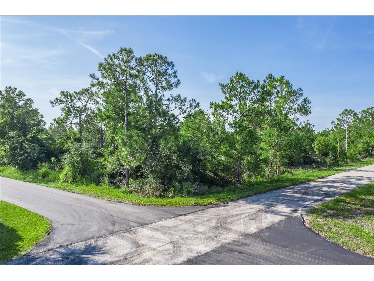212 Avenger Street NW Lake Placid FL 33852 TB8404905 image1