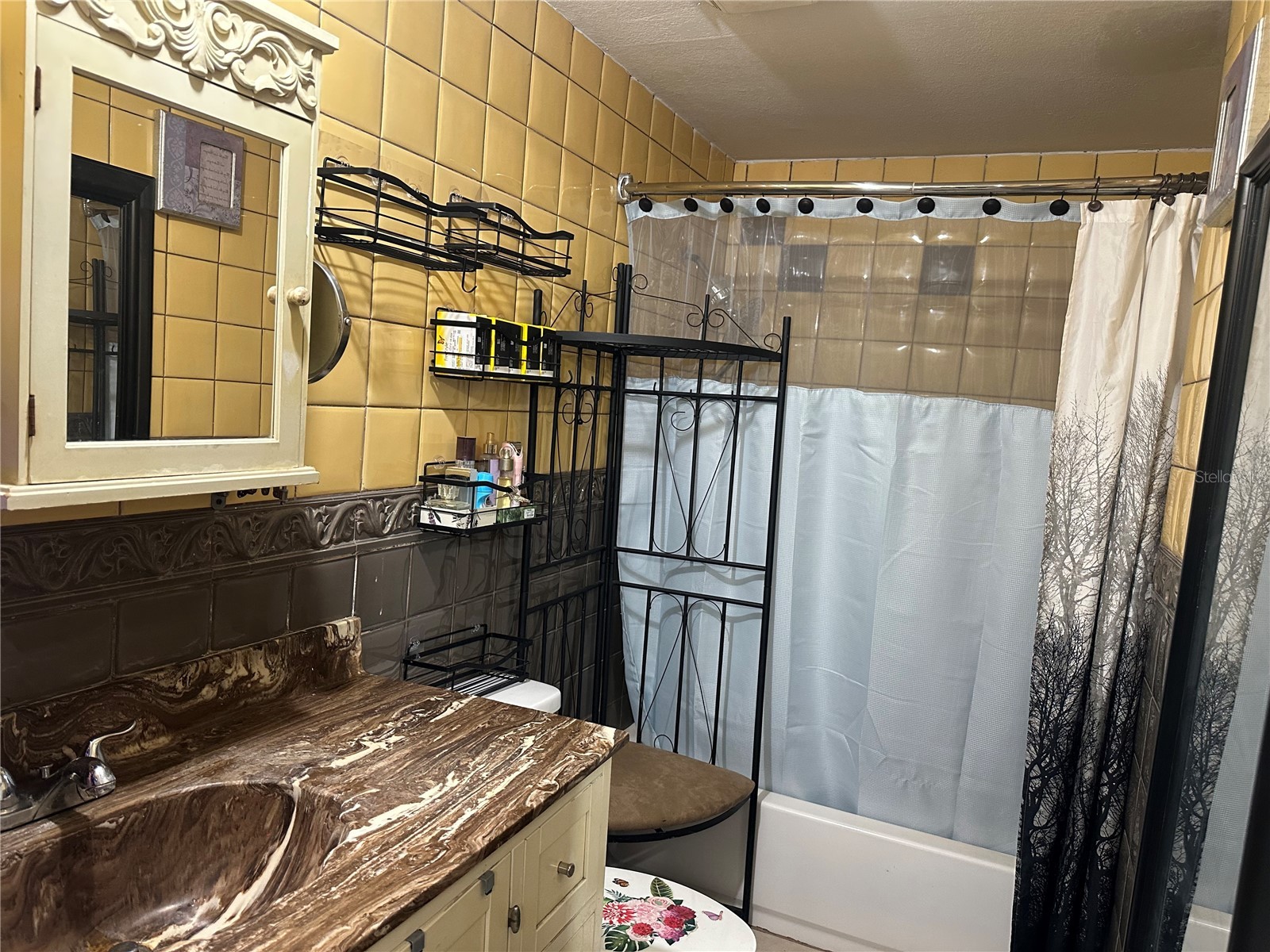 212 Ballard Road Avon Park FL 33825 P4938391 image18