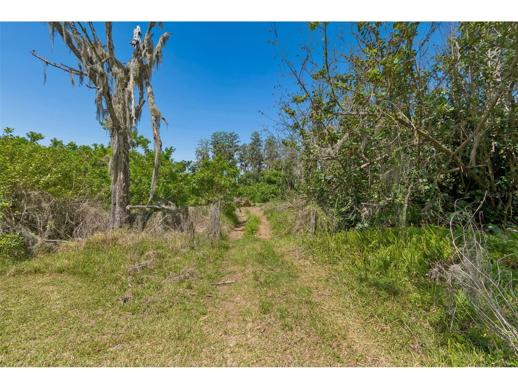 212 Crystal Lake Road Lutz FL 33548 TB8499641 image15