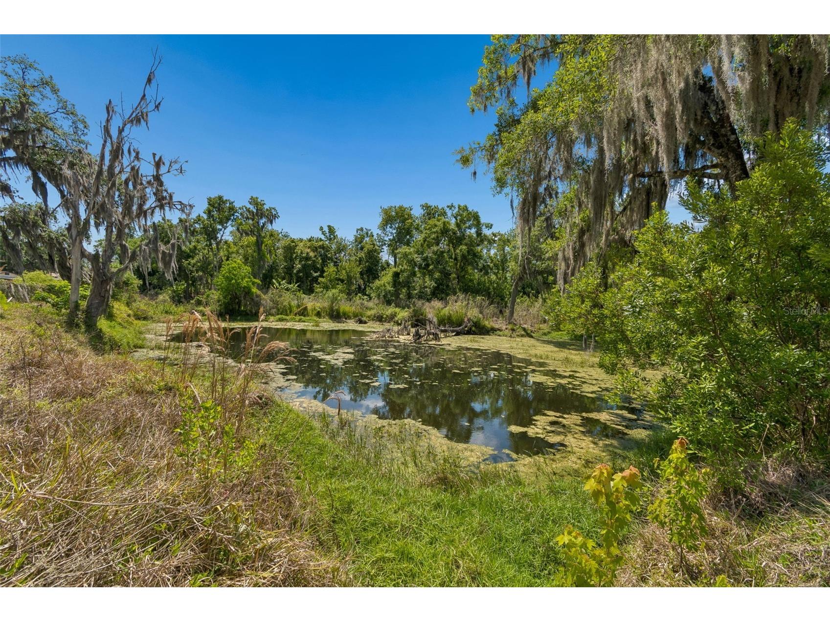 212 Crystal Lake Road Lutz FL 33548 TB8499641 image17