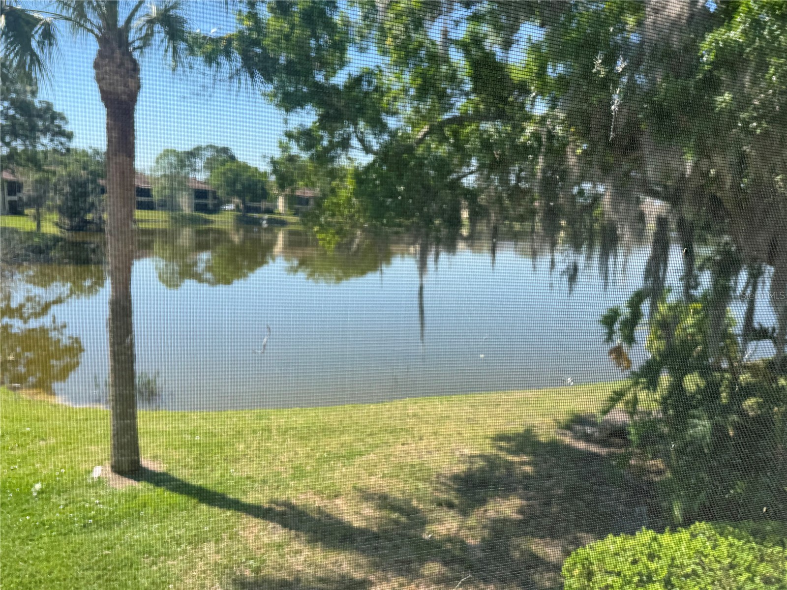 212 Cypress Lane Oldsmar FL 34677 TB8485274 image5