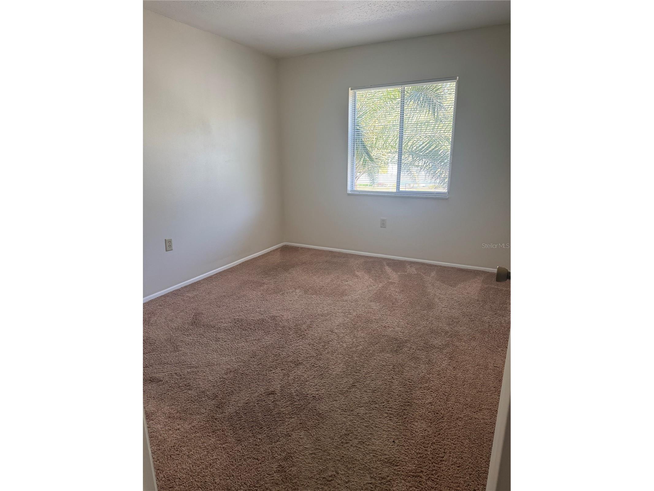 212 Cypress Lane Oldsmar FL 34677 TB8485274 image8