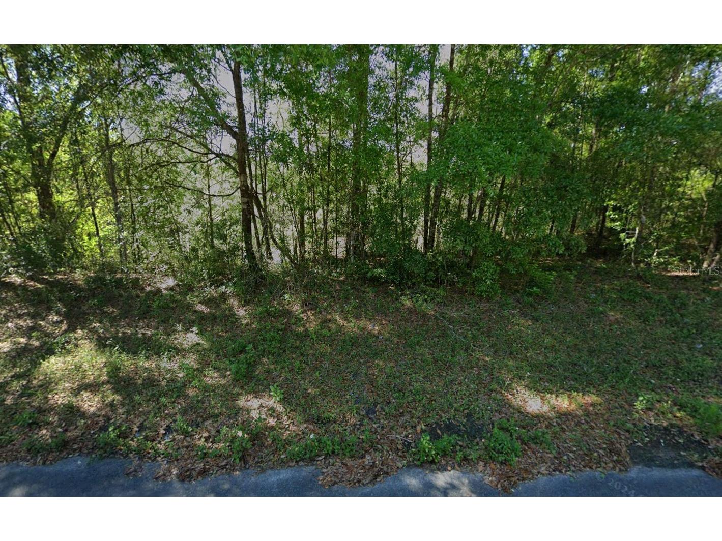 212 Dolphin Circle Middleburg FL 32068 K4903343 image1