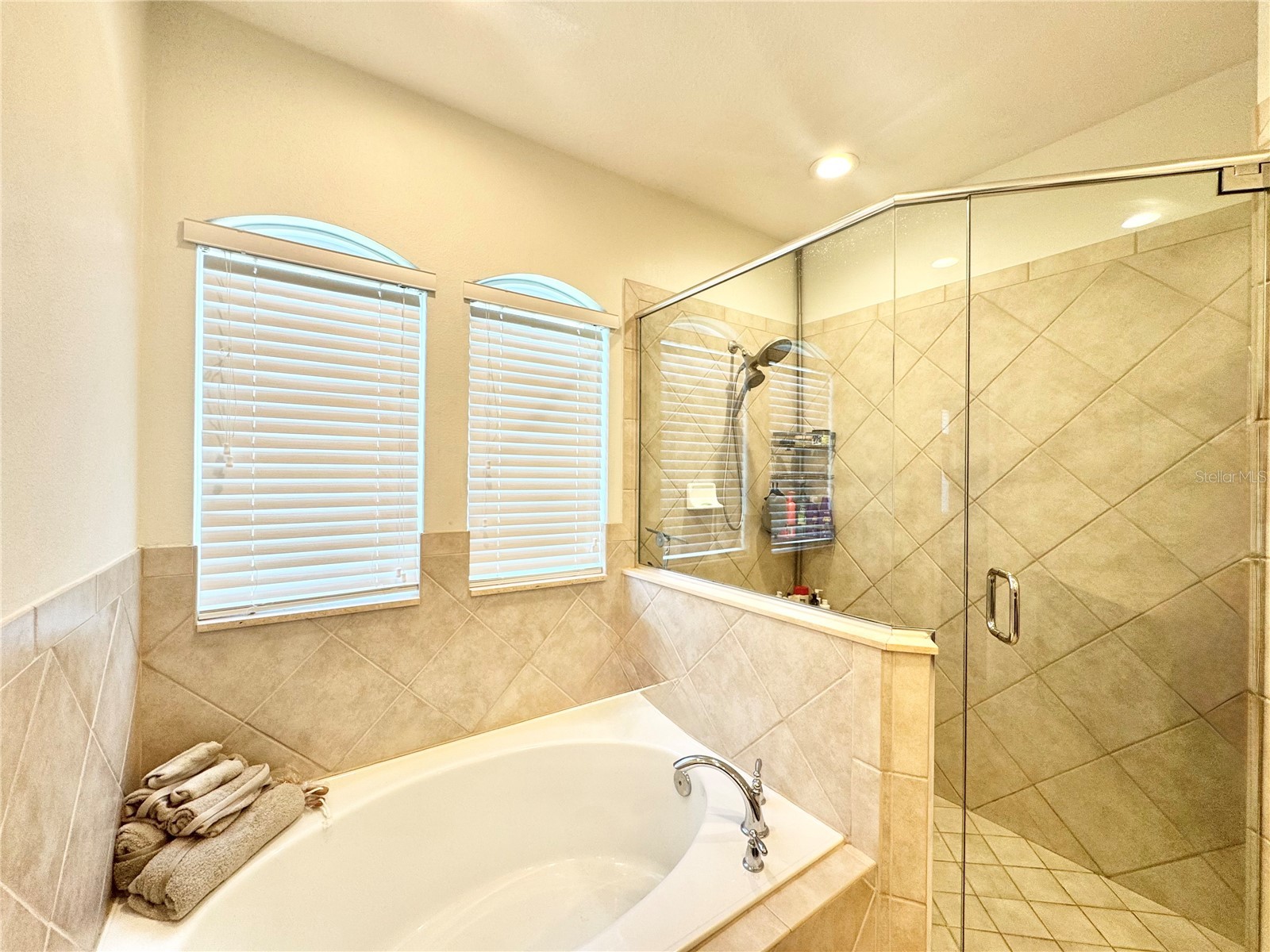 212 Montara Drive Seffner FL 33584 TB8529814 image29