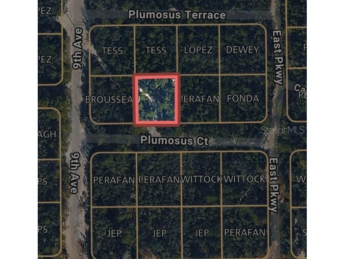 212 Plumosus Court Deland FL 32724 W7885954 image1