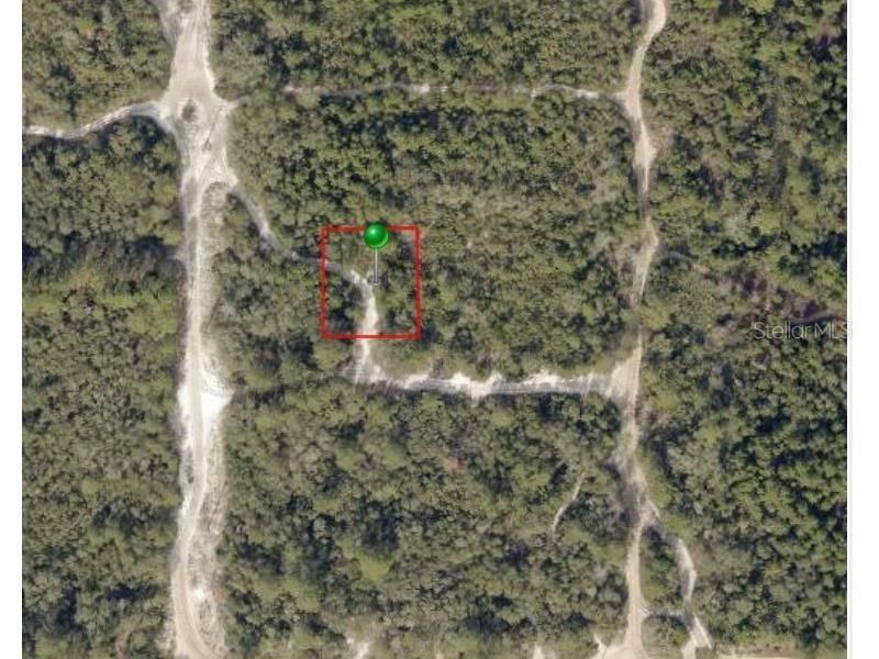 212 Plumosus Court Deland FL 32724 W7885954 image4