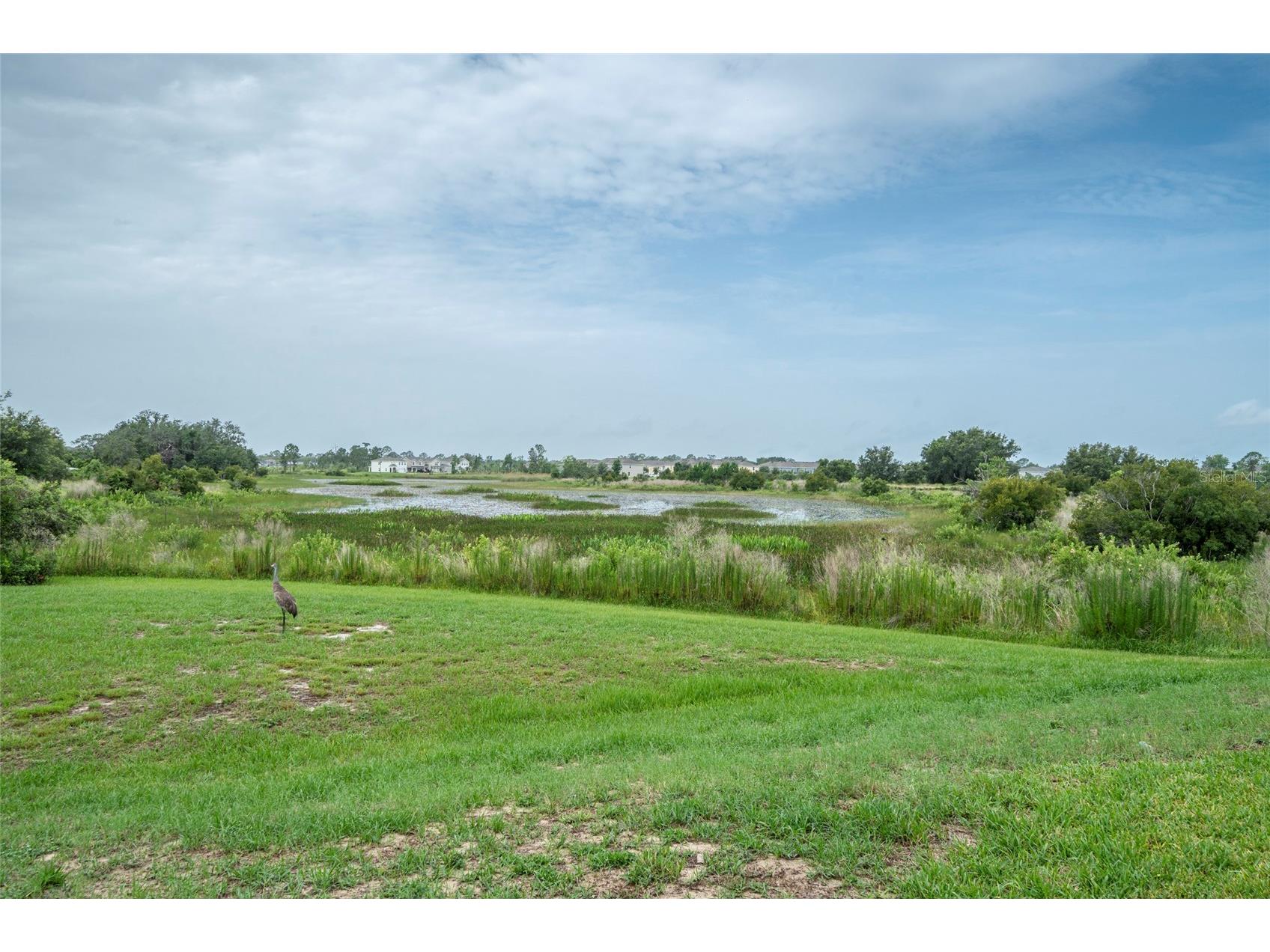 212 Primrose Drive Davenport FL 33837 G5111228 image22
