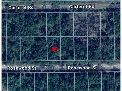 212 Rosewood Street Georgetown FL 32139 C7503100 image1